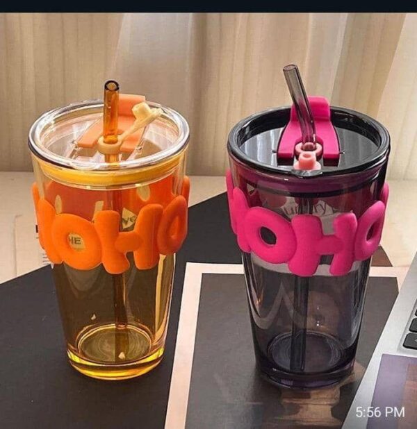 HOHO Double-Wall Tumbler Cup with Straw